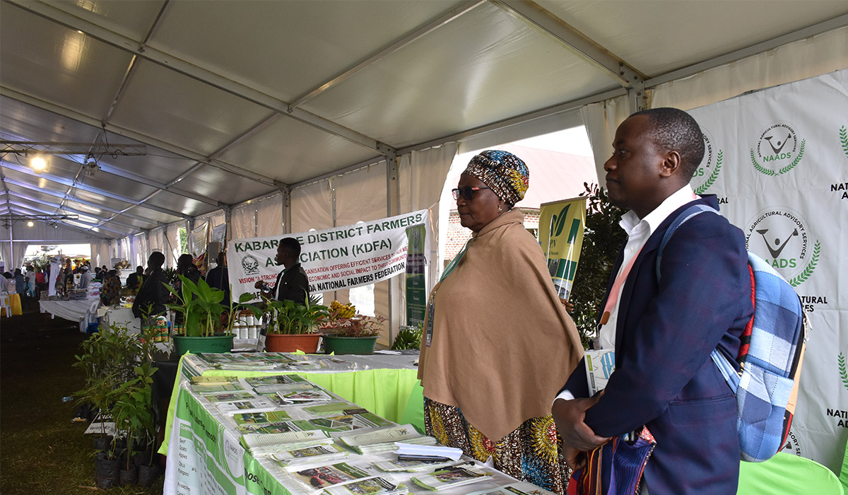 President applauds NAADS supported Farmer at the Rwenzori Investment Expo 2020