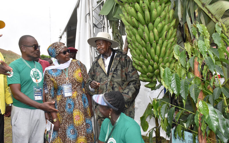 President applauds NAADS supported Farmer at the Rwenzori Investment Expo 2020