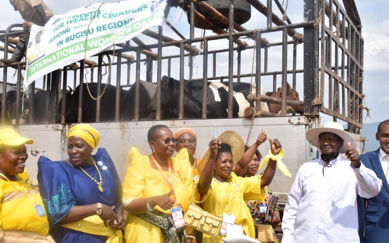 Women Leaders in Mbale district Receive 10 Heifers
