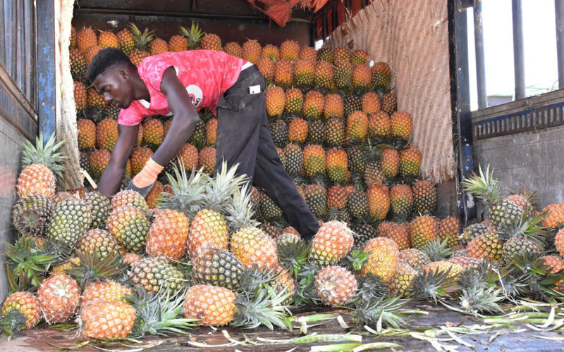 Government through NAADS to set up Fruit Processing Facility in Greater Masaka Region