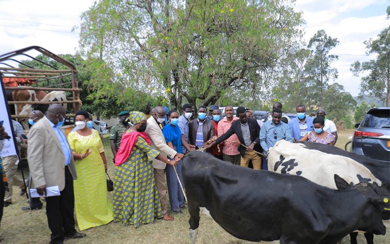Minister Tumwebaze tips the Youth on PDM as he Flags off Distribution of 540 Heifers to Youth Leaders worth Ugx1.5bn