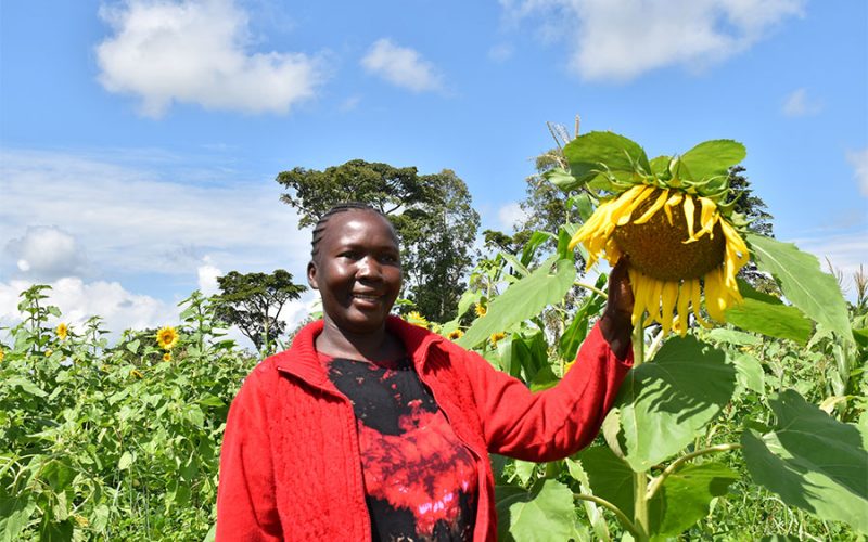 Government Intervenes in shortage of vegetable oil, allocates UGX 9bn to NAADS to boost production of oil crops