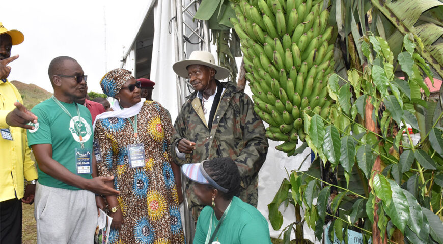 President applauds NAADS supported Farmer at the Rwenzori Investment Expo 2020