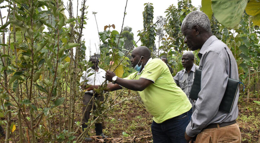 NAADS Mobilizes and Prepares Farmers for Season B 2020