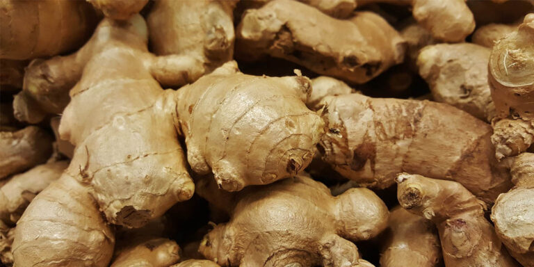 How Long Does Ground Ginger Last After Expiration Date