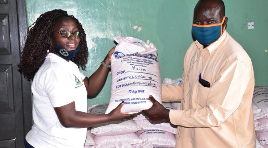 NAADS distributes 1,698 Metric tonnes of maize seed to farmers