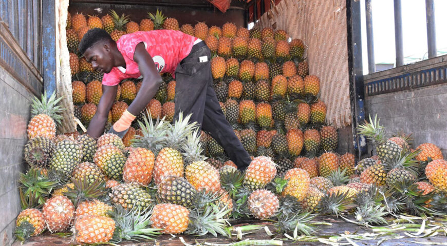 Government through NAADS to set up Fruit Processing Facility in Greater Masaka Region