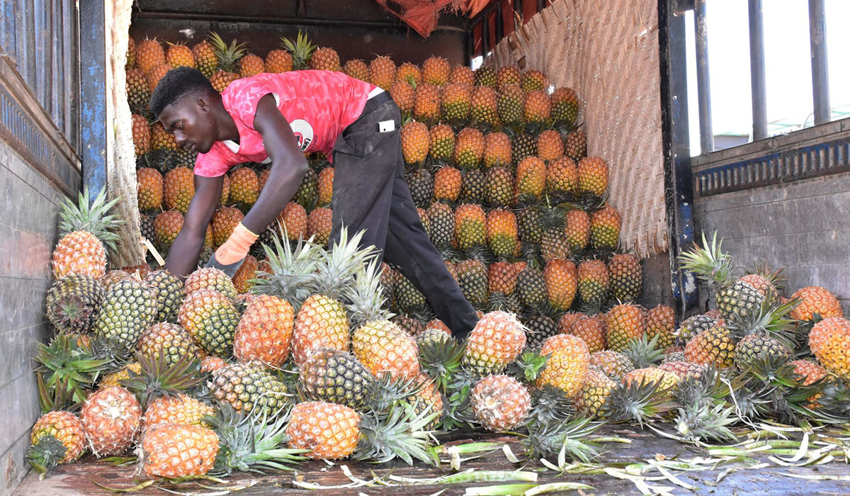 Government through NAADS to set up Fruit Processing Facility in Greater Masaka Region