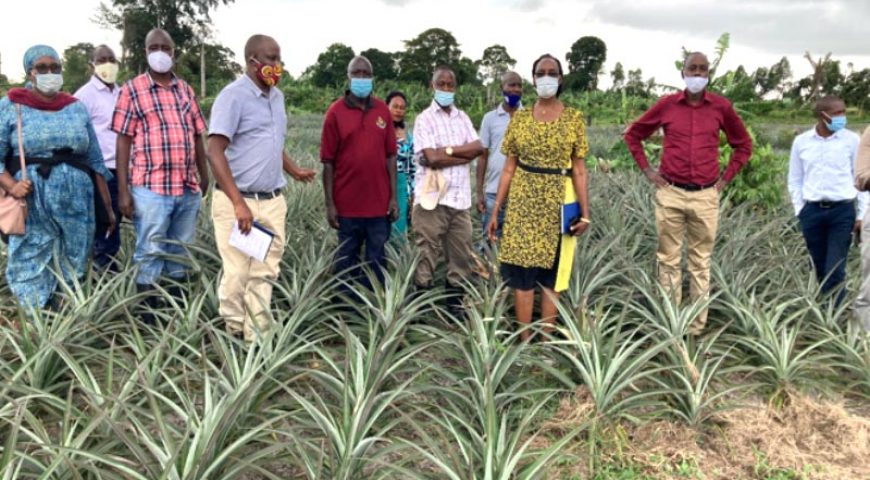 NAADS and UDC engage stakeholders and prospective investors on establishment of Fruit Factory in Greater Masaka sub region