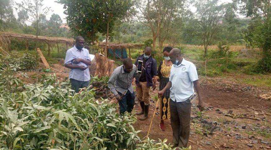 Verification exercise for Planting materials begins ahead of Planting season