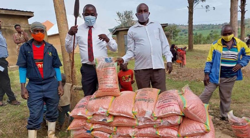 NAADS distributes planting materials worth 41.1bn as second planting season begins