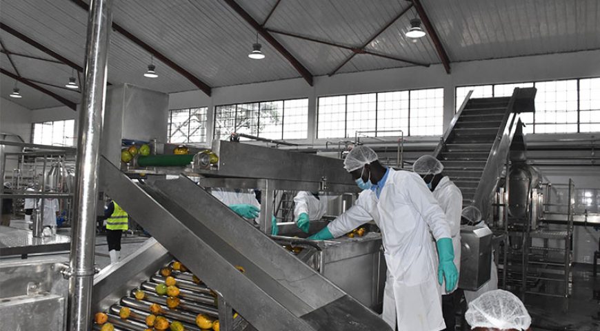 Government through NAADS invests additional sh3.5 billion for the completion of Yumbe Mango Processing Factory
