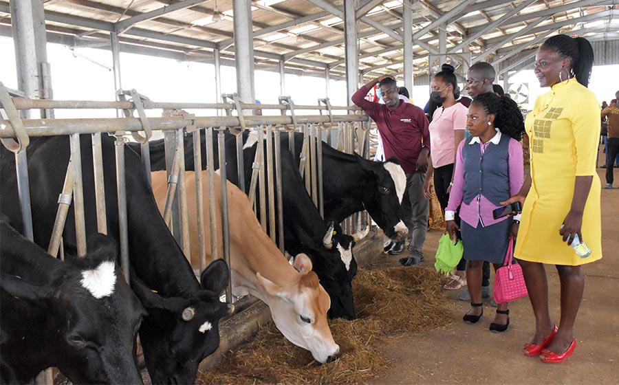 NAADS trains 540 youth leaders across the country in dairy farming in preparation to receive dairy cows