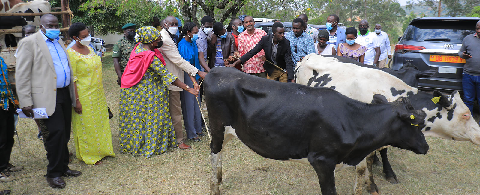 National Agricultural Advisory Services Agriculture In Uganda