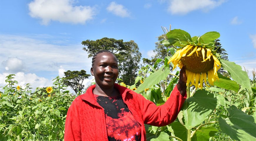 Government Intervenes in shortage of vegetable oil, allocates UGX 9bn to NAADS to boost production of oil crops