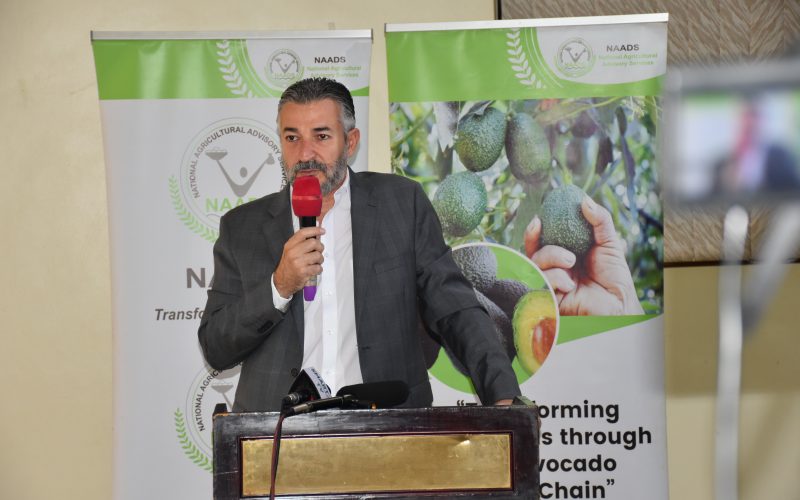 Stakeholders in the Hass Avocado value chain meet to regulate and strengthen the sector