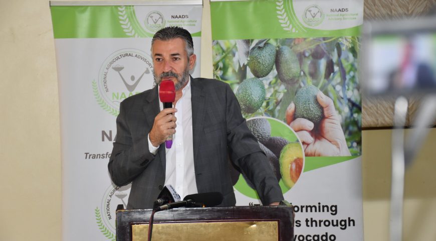 Stakeholders in the Hass Avocado value chain meet to regulate and strengthen the sector